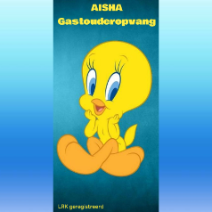 gastouder Den Haag - Aisha Gastouderopvang gastouder Den Haag - Aisha Gastouderopvang