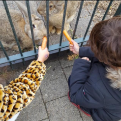 gastouder Den Haag - Gastouderopvang Bloemetjes