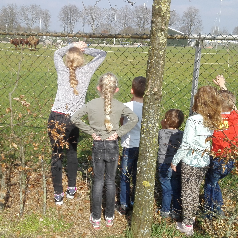 gastouder Nieuwleusen - Karin s Bengeltjes 