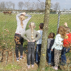 gastouder Nieuwleusen - 'Karin's B&apos;engeltjes&apos;